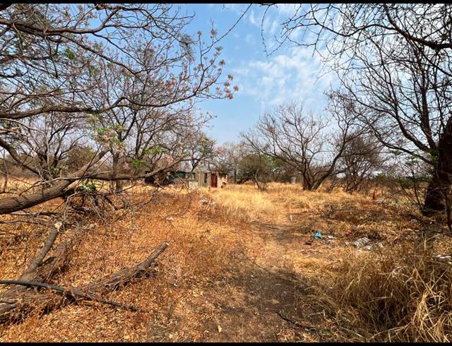 FARM FOR SALE IN BULTFONTEIN A H